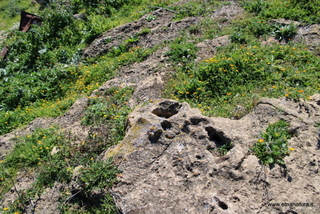 Contrada Fildidonna
